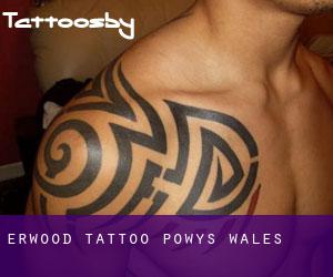 Erwood tattoo (Powys, Wales)